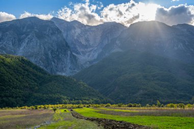 Huzurlu ve sakin doğa manzarası
