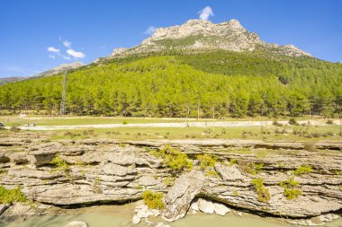 Huzurlu ve sakin doğa manzarası
