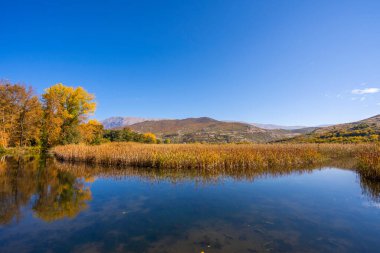 Güzel göl ve dağ manzarası