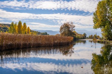 Güzel göl ve dağ manzarası