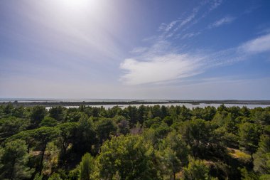 İnsansız hava araçları, göller ve çam ormanlarıyla havadan manzara