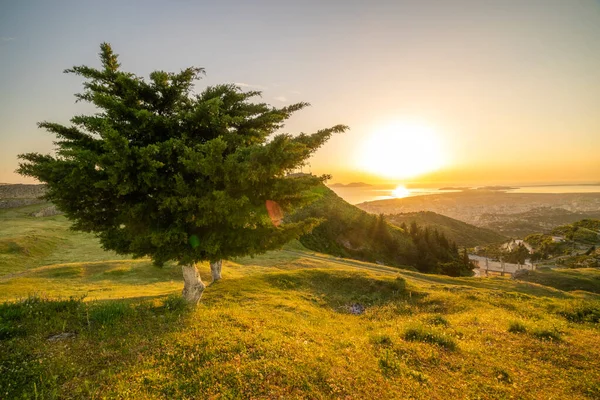 在阿德里安海上空的橙色落日，前景是花覆盖的山坡，还有阿尔巴尼亚城市- -沃拉 图库图片