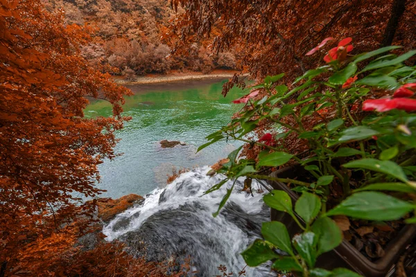 Красивый водопад в лесу, осенний пейзаж — стоковое фото
