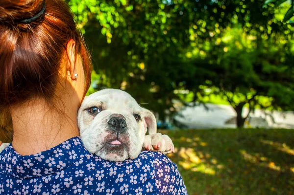 Žena Nesoucí Svého Psa Rameni Dívka Stará Svého Mazlíčka — Stock fotografie