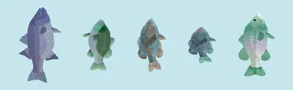 Ensemble Poissons Animaux Dessin Animé Icône Modèle Conception Avec Divers — Image vectorielle