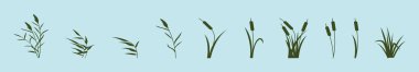 set of reeds in grass cartoon icon design template with various models. vector illustration isolated on blue background clipart