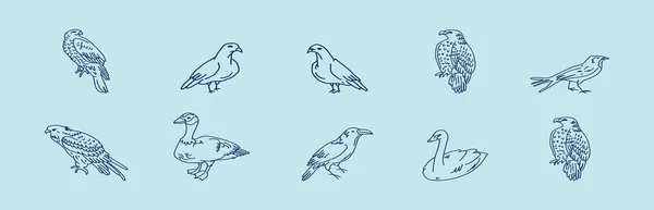 Bir Kuş Seti Şahin Kartal Çizgi Film Ikonu Tasarım Şablonu — Stok Vektör
