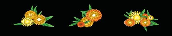 Zestaw Kwiatów Calendula Wzór Ikony Kreskówki Różnych Modeli Ilustracja Wektor — Wektor stockowy