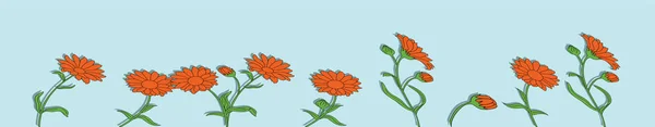 Σύνολο Λουλούδια Καλέντουλα Εικονίδιο Σχέδιο Κινουμένων Σχεδίων Πρότυπο Διάφορα Μοντέλα — Διανυσματικό Αρχείο