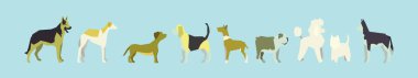 Köpek seti. Modern karikatür ikonu tasarım şablonu ve çeşitli modeller. Mavi arkaplanda izole edilmiş vektör illüstrasyonu