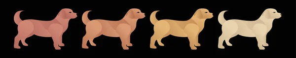 Ensemble Chien Modèle Conception Icône Dessin Animé Moderne Avec Divers — Image vectorielle