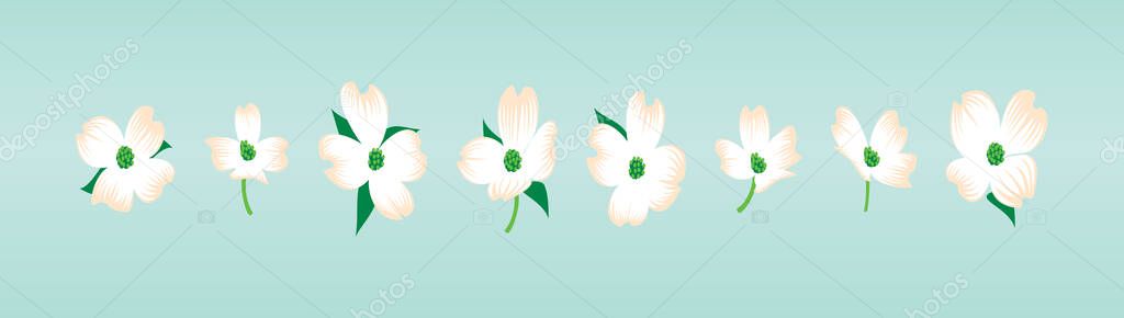 Dogwood flower set. modern cartoon icon design template with various models. vector illustration isolated on blue background