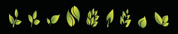 一组树叶 现代漫画图标设计模板与各种型号 在黑色背景上孤立的向量图 — 图库矢量图片