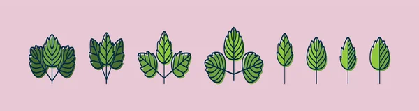 Murgröna Hängande Växter Tecknad Ikon Design Mall Med Olika Modeller — Stock vektor