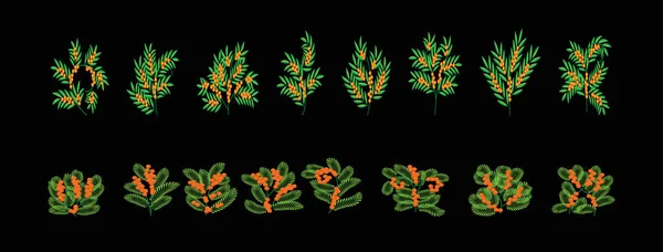 Mimosa Flor Ramo Símbolo Mola Desenho Animado Ícone Modelo Com —  Vetores de Stock