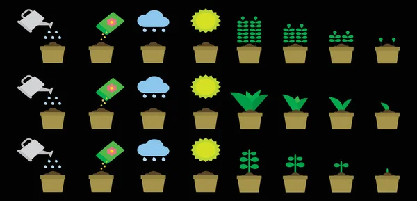 Conjunto Planta Creciente Icono Dibujos Animados Plantilla Diseño Con Varios — Archivo Imágenes Vectoriales