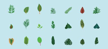 Yapraklar modern çizgi film ikonu tasarım şablonu ve çeşitli modeller. modern vektör illüstrasyonu mavi arkaplanda izole edildi