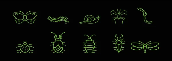 Ensemble Insectes Dessin Animé Icône Modèle Conception Avec Divers Modèles — Image vectorielle