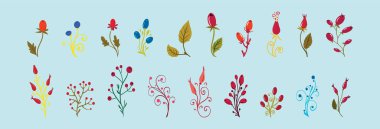 Çeşitli modellerle güzel kokulu Rosehip karikatür tasarım şablonu. modern vektör illüstrasyonu mavi arkaplanda izole edildi