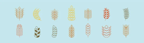 Набор Пшеничных Стеблей Шаблон Иконки Мультфильма Дизайн Различными Моделями Современная — стоковый вектор