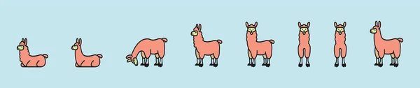 Conjunto Dibujos Animados Alpaca Plantilla Diseño Icono Con Varios Modelos — Archivo Imágenes Vectoriales