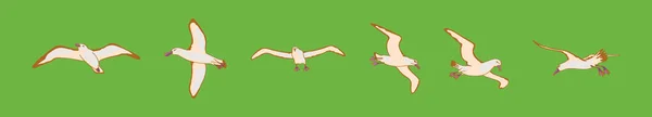 様々なモデルのアルバトロス鳥の漫画のアイコンデザインテンプレートのセット 緑の背景に隔離された現代のベクターイラスト — ストックベクタ