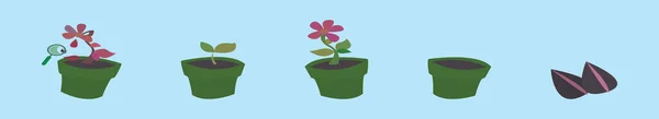 Set Van Plant Groei Cyclus Cartoon Pictogram Ontwerp Template Met — Stockvector
