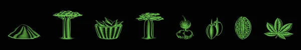 様々なモデルのバオバブやアフリカの木の漫画のアイコンデザインテンプレートのセット 黒を背景にした現代的なベクターイラスト — ストックベクタ