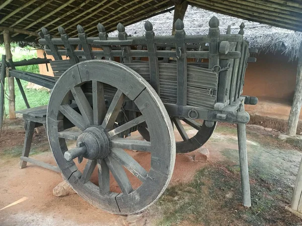 Menschliches Museum Bhopal Madhya Pradesh — Stockfoto