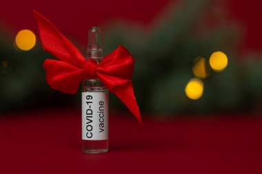 Bir ampul COVID-19 Coronavirus aşısı kırmızı arka planda ışıkları olan bir Noel ağacı dalının yanında hediye olarak duruyor.