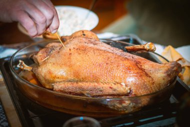 Adamın eli ahşap şiş ile fırında pişmiş kaz veya hindinin hazır olup olmadığını kontrol ediyor.