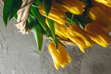 Hasır sepette gri beton arka planda parlak sarı laleler. Üst görünüm, alanı kopyala