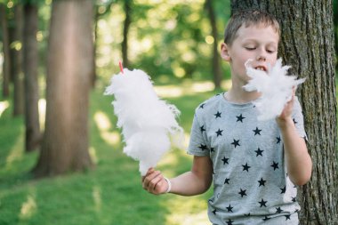 Çocuk 7-10 güneşli parkta pamuk şeker yiyor yeşil çimlerin üzerinde uzun ağaçların arasında