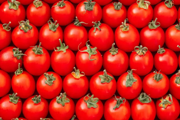 Background Image Lying Rows Red Ripe Cherry Tomatoes Top View — Stock Photo, Image