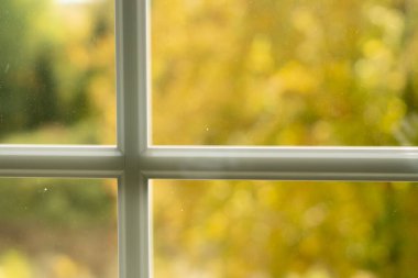 Pencere boyunca aranıyor - sonbahar görünümü