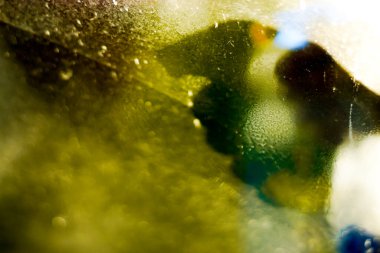 Bir pencere temizleniyor. Cam temizliği. ev işleri ve hijyen.