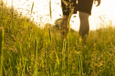 Tarladaki bir insanın silueti