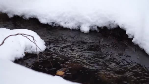 Fluxo Água Corrente Inverno Loop Sem Costura — Vídeo de Stock