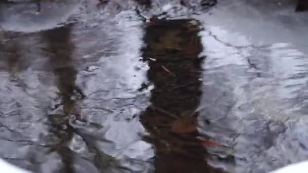 Płynący Strumień Wody Zimie Płynna Pętla — Wideo stockowe
