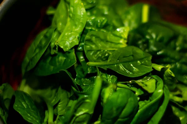 Świeży Zielony Szpinak Garnku Zdrowy Tryb Życia Sałatą Jedzenie Bazie — Zdjęcie stockowe