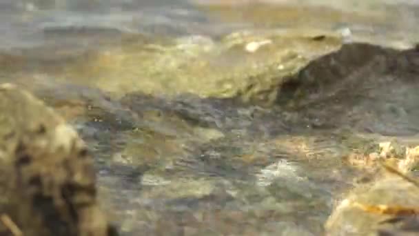 Pedras Estão Ser Atingidas Por Ondas Pequenas Calmante Água Meditação — Vídeo de Stock
