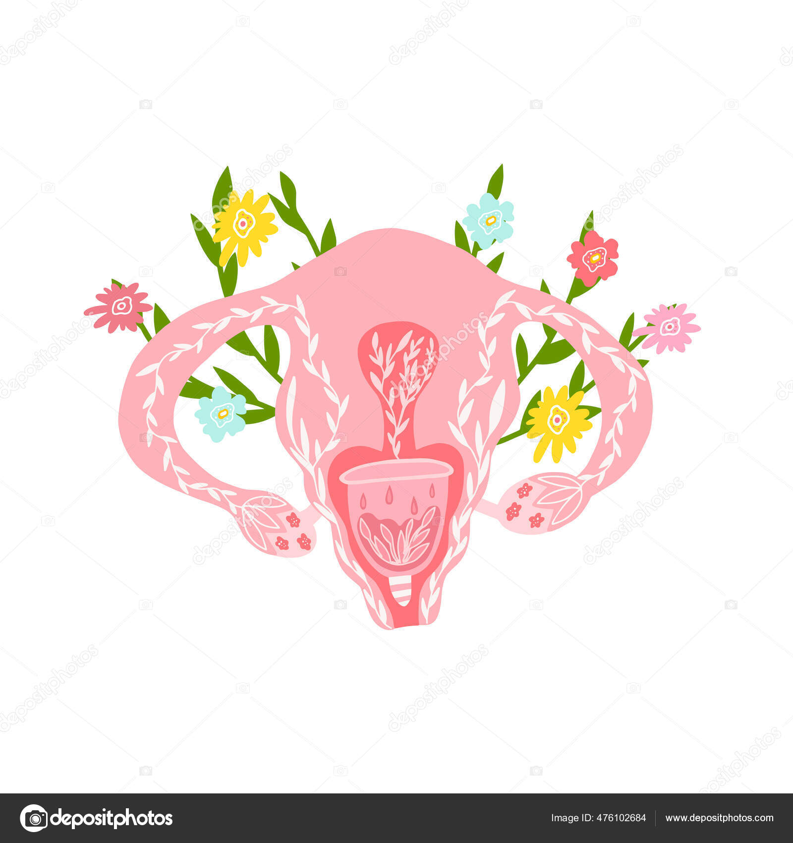 Female Reproductive System Menstrual Cup Female Anatomy Uterus Ovaries