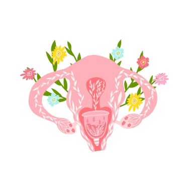 Adet bardağıyla kadın üreme sistemi. Kadın anatomisi - uterus, yumurtalıklar, fallop tüpleri. Rahimde elle çizilmiş düz bir stil. Adet bardaklarının satışı için reklam tasarımı..