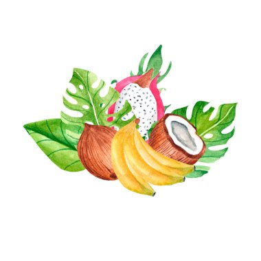 Muzlu suluboya buket, hindistan cevizi, paketleme için pitahaya, kumaşlar, posterler. Giysilerdeki parlak iz. Kozmetik ürünleri ve narenciye ürünleri için tropikal meyve koleksiyonu..