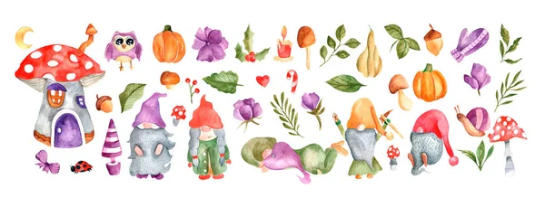 水彩のノーム 素晴らしいセットだ フクロウ 水生植物 キノコ フライ農業 カボチャ ノームの家 ポストカード プリントを飾るための小さなドワーフ文字のセット — ストック写真