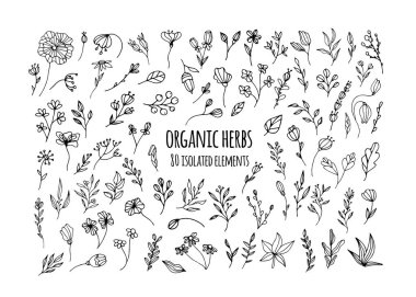 Vektör organik bitkiler. Bitkilerle, çiçeklerle, Ayurvedic bitkilerle, dallarla dolu. Logo, kumaş, tabak ve giysi tasarımı. Tebrik kartı ve davetiye tasarımı için minimalist unsurlar. Organik bitki.