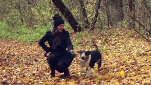 Hermosa mujer está jugando con inglés bull terrier cachorro en el parque de otoño . — Vídeo de stock