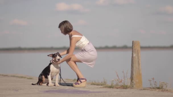 Krásná mladá žena s anglický bulteriér štěně. — Stock video