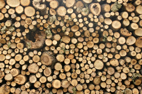 Woodpile - 1