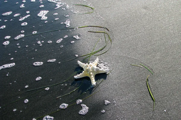 Karadeniz - 1 yıldız — Stok fotoğraf